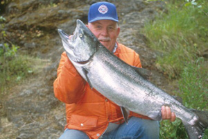 Fresh-run Spring chinook -- strong and tasty!