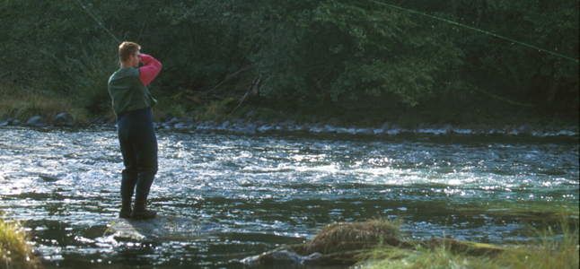 Stretching the fly line