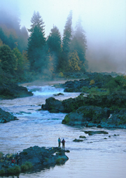 Umpqua River Rentals